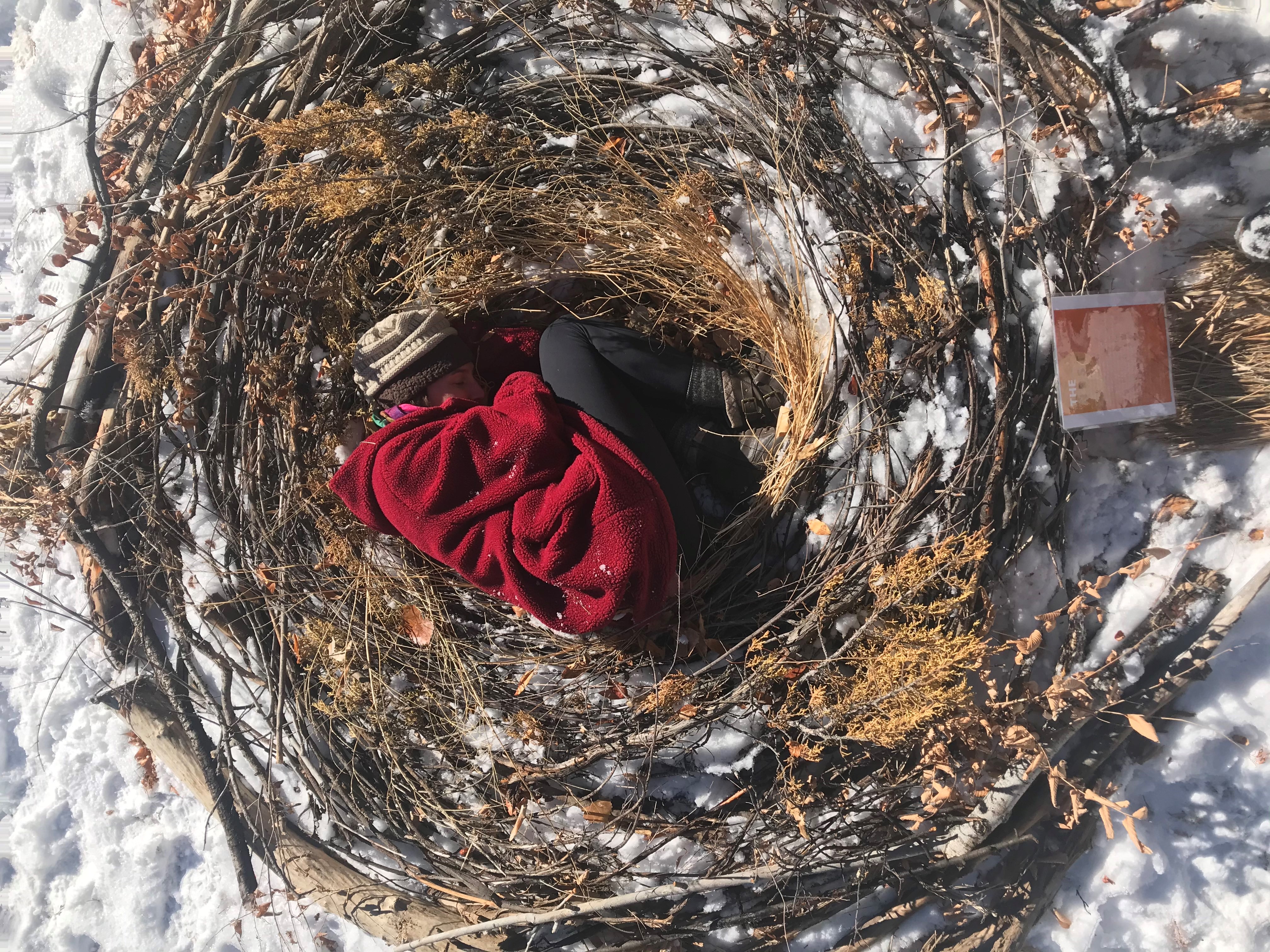 The Nest, Hannah Rapp